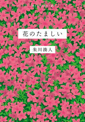 朱川湊人
