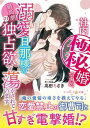 社内極秘婚ですが、溺愛旦那様の最高潮の独占欲で蕩かされています【電子書籍】[ 高田ちさき ]