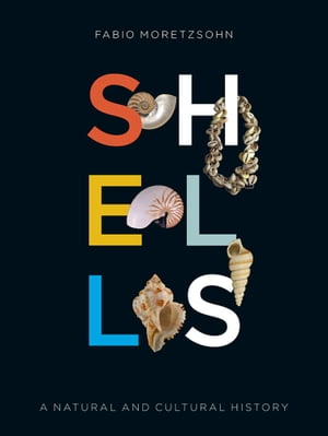 Shells