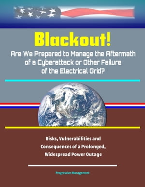Blackout! Are We Prepared to Manage the Aftermath of a Cyberattack or Other Failure of the Electrical Grid?: Risks, Vulnerabilities and Consequences of a Prolonged, Widespread Power Outage