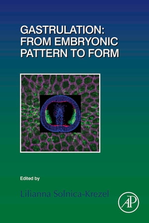 Gastrulation: From Embryonic Pattern to Form