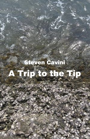 A Trip to the TipŻҽҡ[ Steven Cavini ]