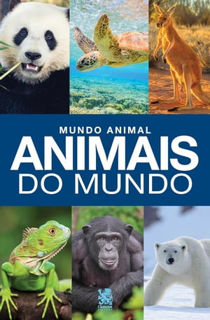 Mundo Animal