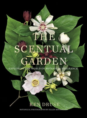 楽天楽天Kobo電子書籍ストアThe Scentual Garden Exploring the World of Botanical Fragrance【電子書籍】[ Ken Druse ]