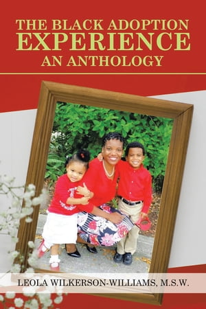 The Black Adoption Experience an Anthology【電