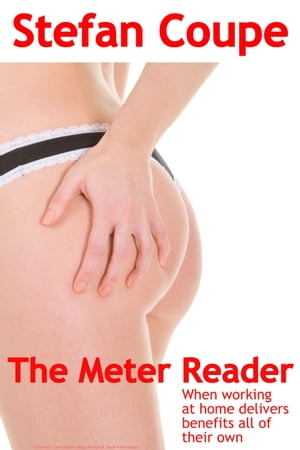 The Meter Reader