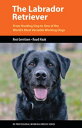 The Labrador Retriever From Hunting Dog to One of the World’s Most Versatile Working Dogs【電子書籍】[ Resi Gerritsen ]