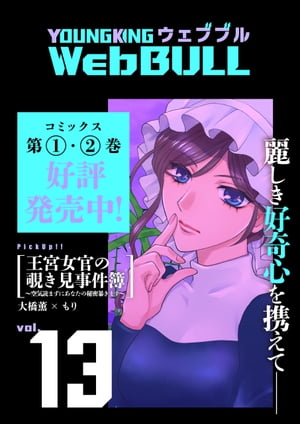 Web BULL13号