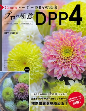 CanonユーザーのRAW現像 プロの極意 DPP4