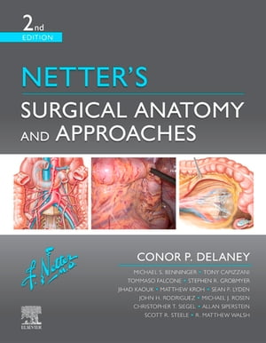 Netter's Surgical Anatomy and Approaches E-Book