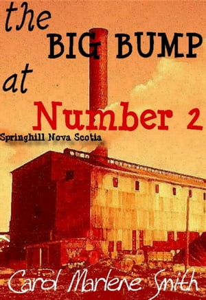 the BIG BUMP at Number 2Żҽҡ[ Carol Marlene Smith ]