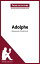 Adolphe de Benjamin Constant (Fiche de lecture) Analyse compl?te et r?sum? d?taill? de l'oeuvreŻҽҡ[ Delphine Leloup ]