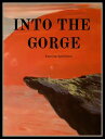 Into The Gorge