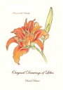 Original Drawings of Lilies【電子書籍】[ Dandi Palmer ]