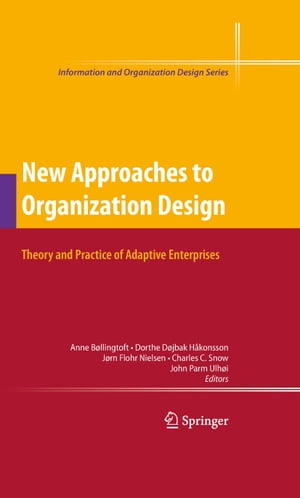 New Approaches to Organization Design Theory and Practice of Adaptive Enterprises【電子書籍】