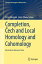 Completion, Čech and Local Homology and Cohomology