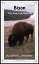 Bison: The American BuffaloŻҽҡ[ Caitlind L. Alexander ]