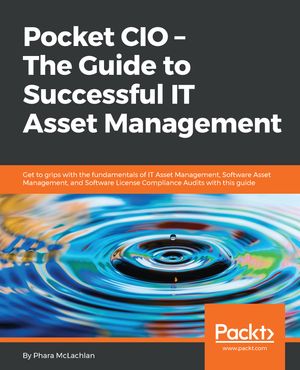 Pocket CIO ? The Guide to Successful IT Asset Ma