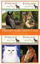 Starlight Animal Rescue 4-Pack: Runaway / Mad Dog / Wild Cat / Dark Horse【電子書籍】[...