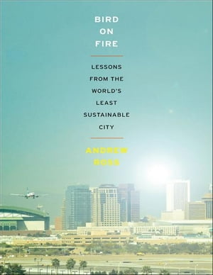 Bird on Fire:Lessons from the World's Least Sustainable City