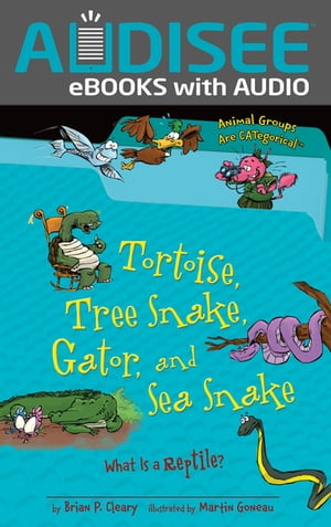 Tortoise, Tree Snake, Gator, and Sea Snake