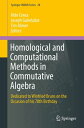 Homological and Computational Methods in Commutative Algebra Dedicated to Winfried Bruns on the Occasion of his 70th Birthday【電子書籍】