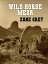 Wild Horse MesaŻҽҡ[ Zane Grey ]