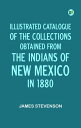 Illustrated Catalogue of the Collections Obtained from the Indians of New Mexico...