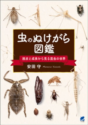 虫のぬけがら図鑑 ー脱皮と成長から見る昆虫の世界