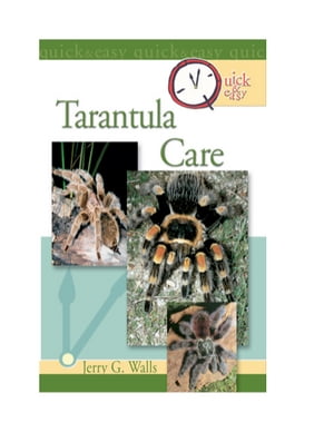 Quick & Easy Tarantula Care