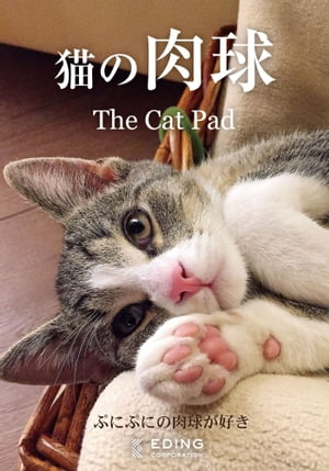 猫の肉球