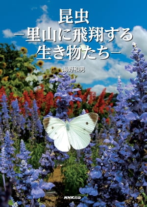 昆虫　里山に飛翔する生き物たち【電子書籍】[ 石黒由美子 ]