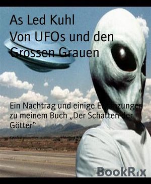 Von UFOs und den Grossen Grauen