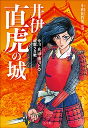 井伊直虎の城〜今川・武田・徳川との城取り合戦〜【電子書籍】[ 小和田哲男 ]