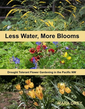 Less Water, More Blooms: Drought-Tolerant Flower Gardening in the Pacific NW
