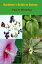 Gardeners' Guide To Botany Gardener's Guide Series, #4Żҽҡ[ Mossy Feet Books ]