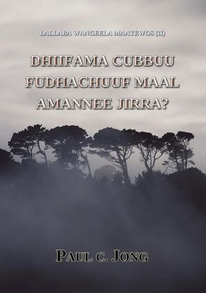 Lallaba Wangeela Maatewos (II) - Dhiifama Cubbuu Fudhachuuf Maal Amannee Jirra?