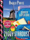ŷKoboŻҽҥȥ㤨Il romanzo del quinquennio - Quarta superiore - Ziggy Stardust Il romanzo del quinquennio 4Żҽҡ[ Angela Parise ]פβǤʤ363ߤˤʤޤ