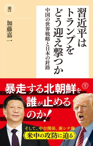 習近平はトランプをどう迎え撃つか