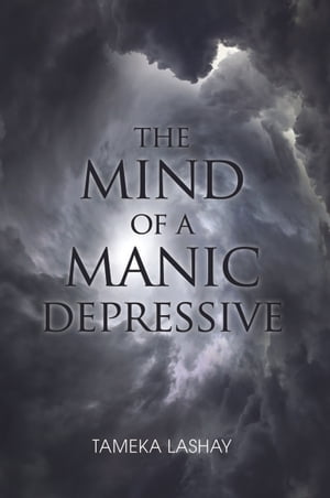 The Mind of a Manic Depressive