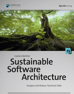 Sustainable Software Architecture Analyze and Re