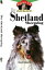 The Shetland Sheepdog