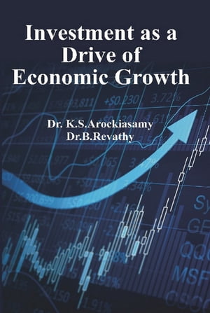 Investment as A Drive of Economic Growth