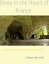 Deep in the Heart of France: A Guide to the Loire Valley's Contemporary Caves