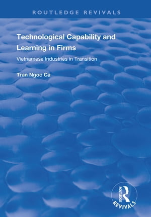 Technological Capability and Learning in Firms Vietnamese Industries in Transition【電子書籍】[ Tran Ngoc Ca ]