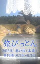 旅びっとん 2015年 春の旅（本番）第10週【電子書籍】[ 神田 雅志 ]