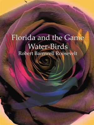 Florida and the Game Water-Birds