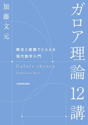 ガロア理論12講　概念と直観でとらえる現代数学入門