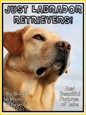 Just Labrador Retriever Photos! Big Book of Lab Dog Photographs & Pictures Vol. 1