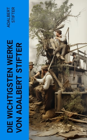 Die wichtigsten Werke von Adalbert Stifter Witiko + Der Nachsommer + Brigitta + Bunte Steine + Der Hochwald + Die Mappe meines Urgro?vaters…